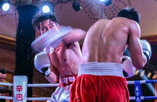 吃瓜娱乐拳击视频下载,揭秘吃瓜群众热捧的拳击视频下载热潮